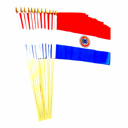 Paraguay 12" x 18" Stick Flags