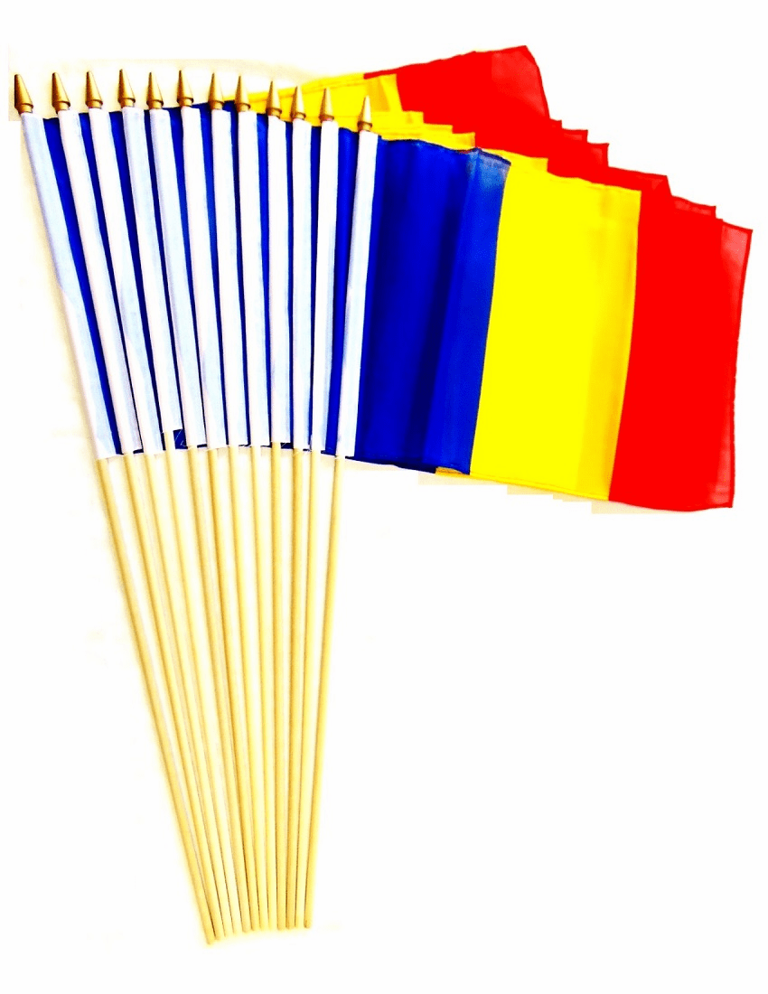 Romania 12" x 18" Stick Flags