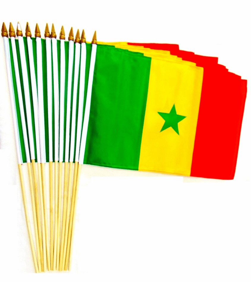 Senegal 12"x18" Stick Flags