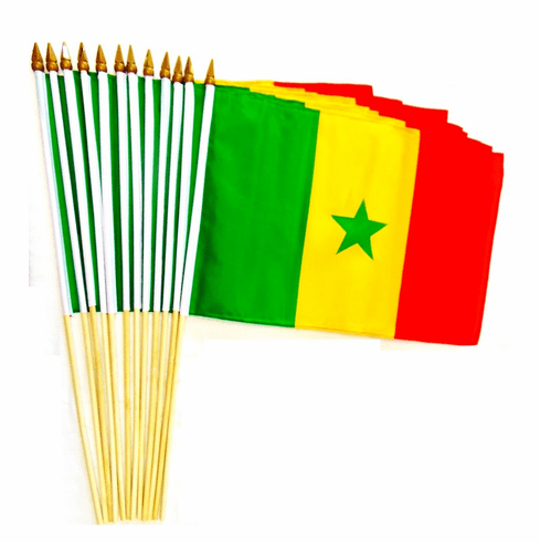 Senegal 12"x18" Stick Flags