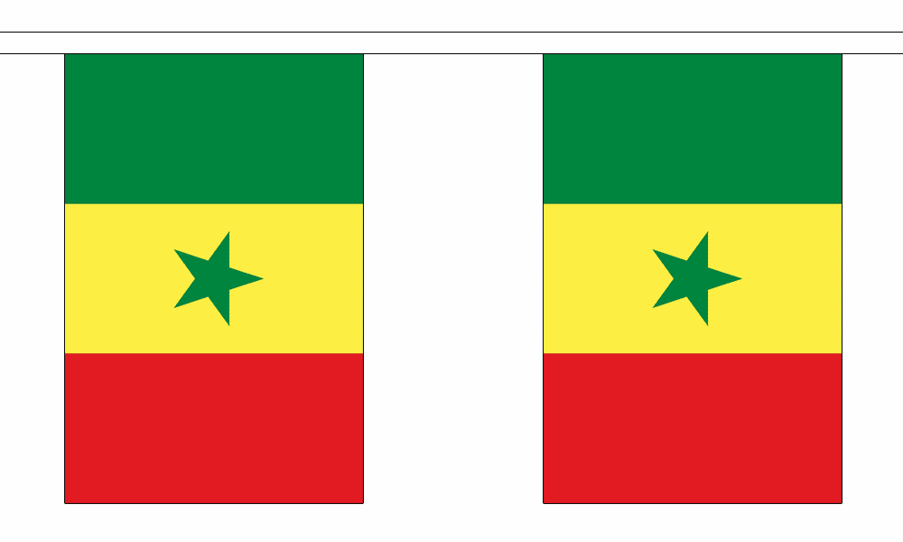 Senegal String Flag 10' Bunting
