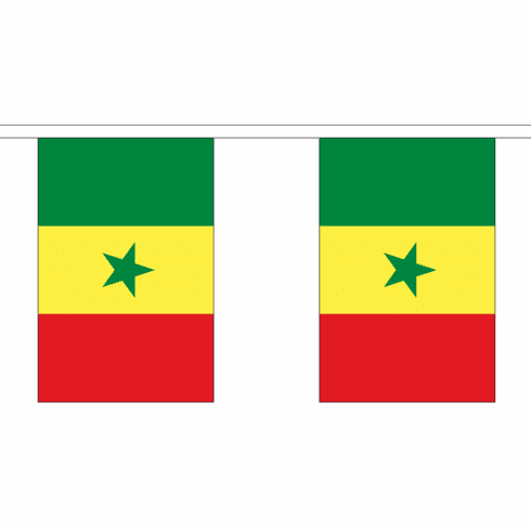 Senegal String Flag 10' Bunting