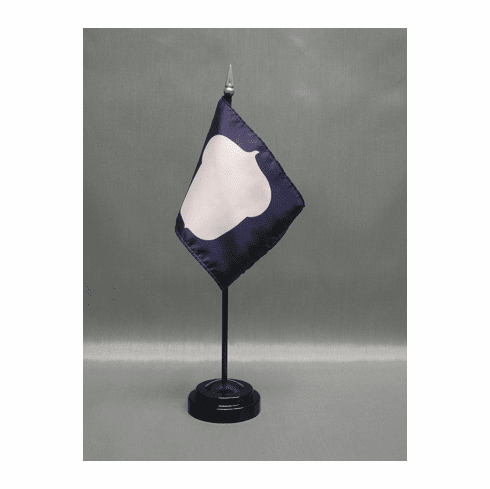 Treasurer Miniature Flag