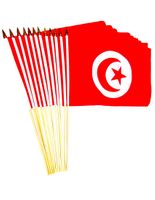 Tunisia 12" x 18" Stick Flags