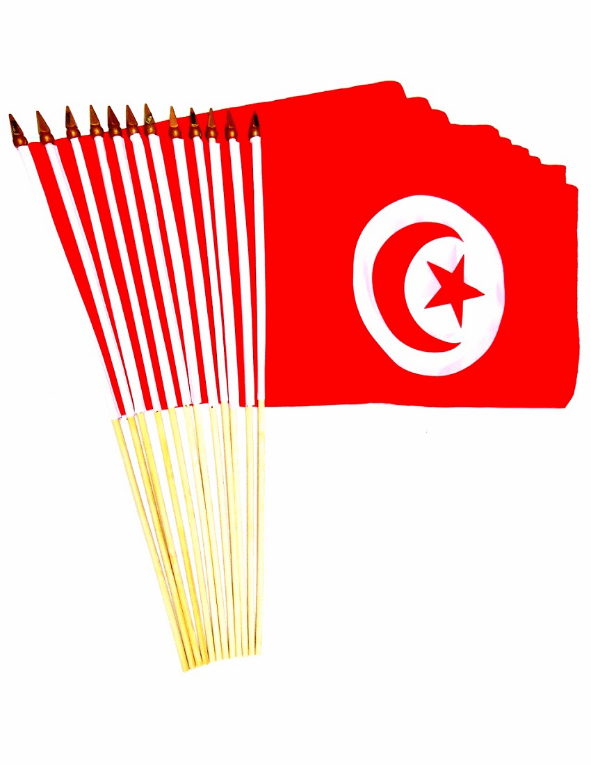 Tunisia 12" x 18" Stick Flags