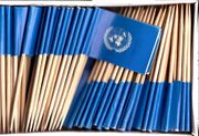 United Nations Flag Toothpicks