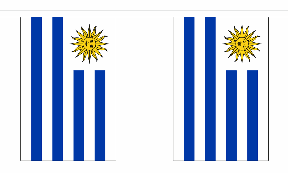 Uruguay String Flag Bunting 
