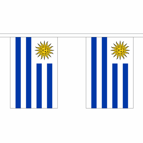 Uruguay String Flag Bunting 