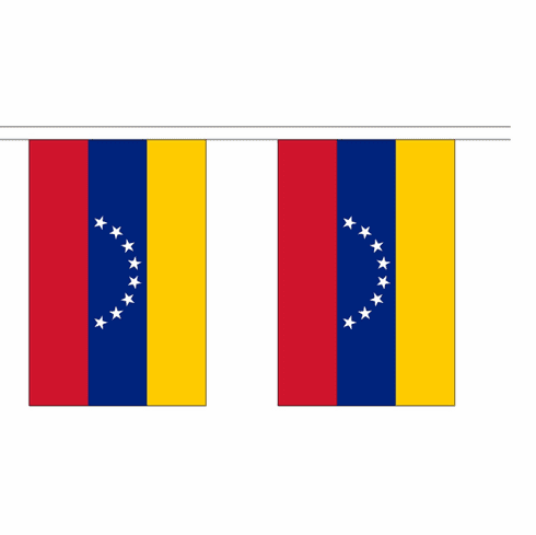 Venezuela String Flag Bunting