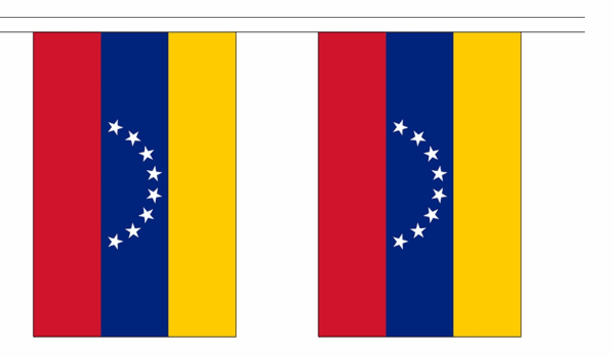 Venezuela String Flag Bunting