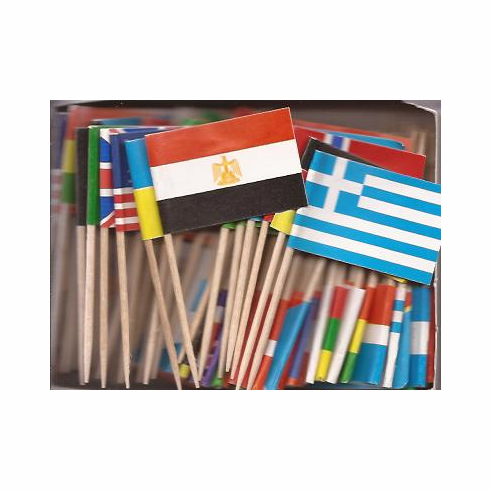 World Flag Toothpicks - 100 different flags