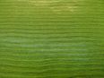 Baystreet II color Spring Green