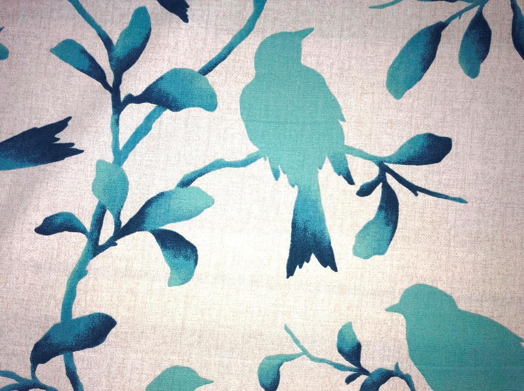 lady bird breeze