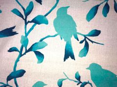 lady bird breeze