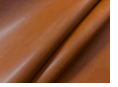 Derma Spice