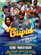 Cupid Shuffle Line Dance Cruise