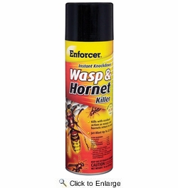 Enforcer EWHIK16  Instant Knockdown Wasp & Hornet Killer Spray - 16-oz Ready-to-Use Aerosol