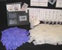 Airbrush Tattoo Business System-Starter