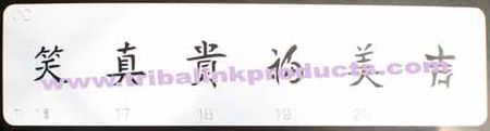 Airbrush Tattoo Stencil Kanji Symbol Strip OC-016-021