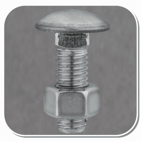 AUV-3102 Stainless Steel Capped Round Head Bumper Bolt with Hex Nut Bx of 10