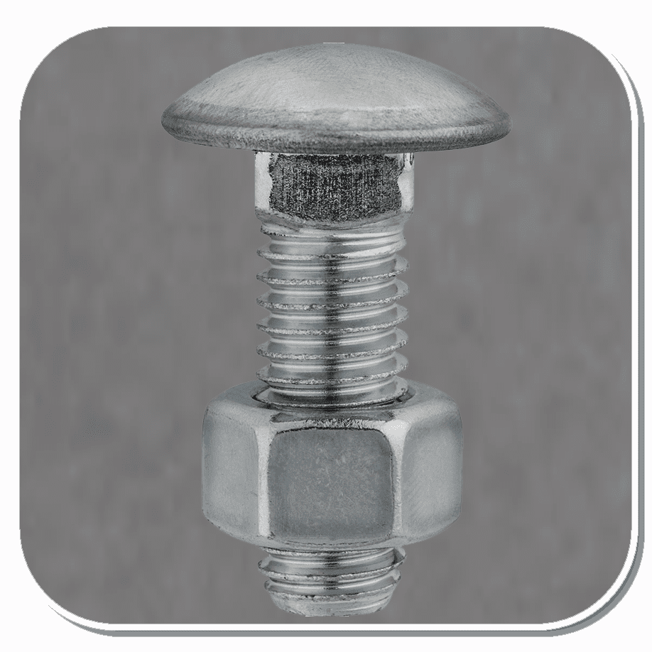 AUV-3102 Stainless Steel Capped Round Head Bumper Bolt with Hex Nut Bx of 10