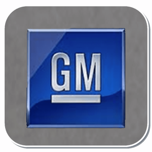 General Motors Specific Clips and Fasteners