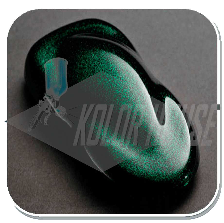 HOC-F23 C01 HOUSE OF KOLOR 