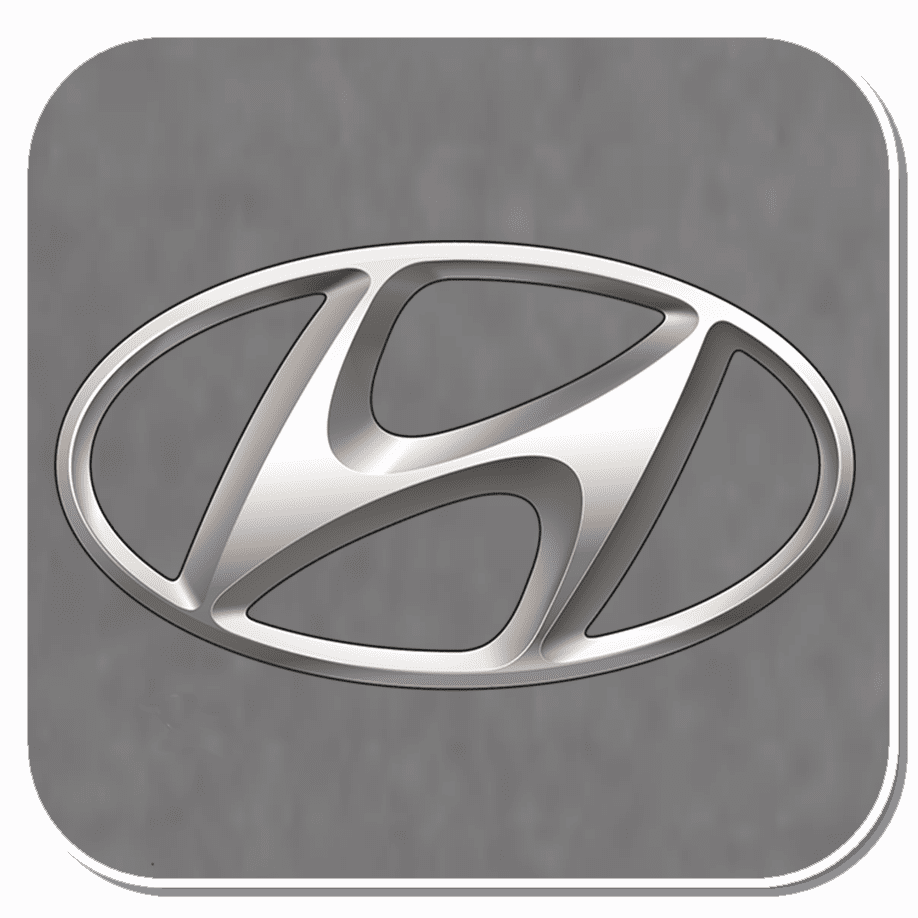 Hyundai Specific Clips & Fasteners