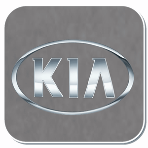 KIA Specific Clips & Fasteners