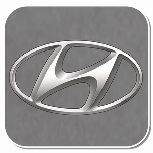 Hyundai Specific Clips & Fasteners