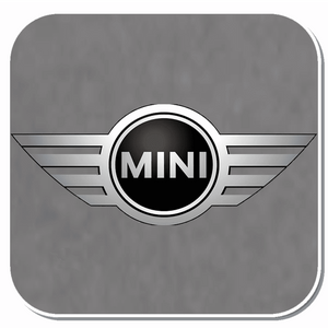 Mini-Cooper Specific Clips & Fasteners