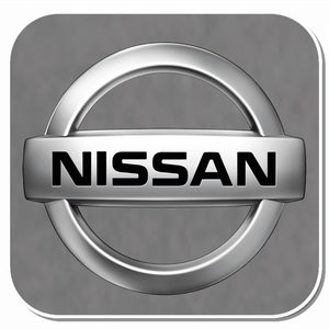 Nissan Specific Clips & Fasteners