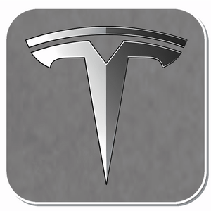 Tesla Specific Clips & Fasteners
