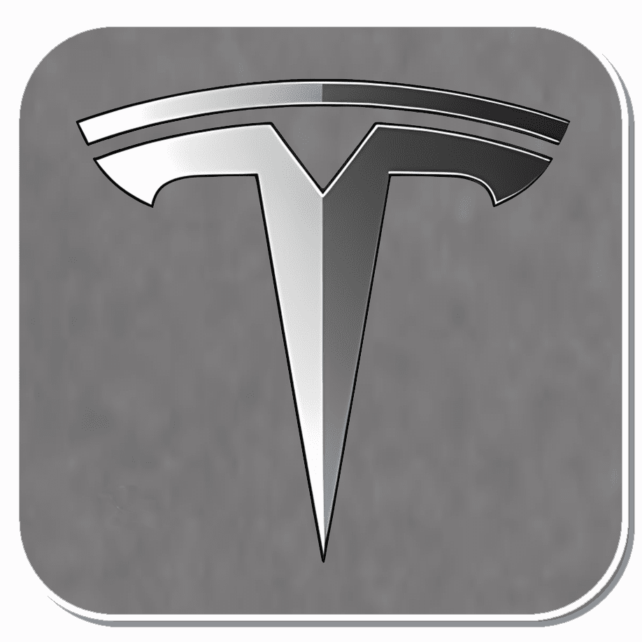 Tesla Specific Clips & Fasteners