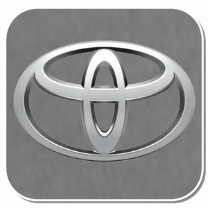 Toyota Specific Clips & Fasteners