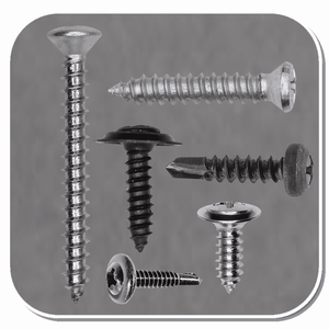 Trim Screws