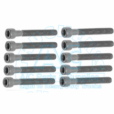 Bolts for Expansion Valve for #12-3024A. 1 pc.