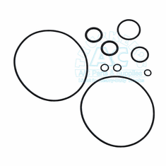 Compressor Seal Kit - A6