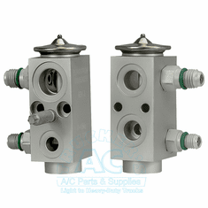 Expansion Valve OEM #: 1000534258