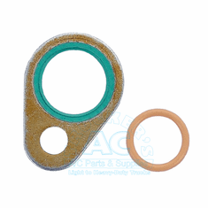 O-Ring & Gasket Kit