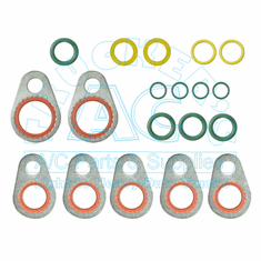 O-Ring & Gasket Kit OEM #: 2614861-C91