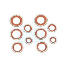 O-Ring Kit