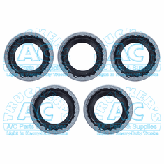 O'rings and Seals