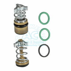 Quick Disconnect Valve Kit