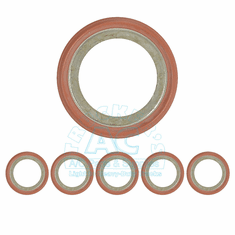 Sealing Washers-Ford