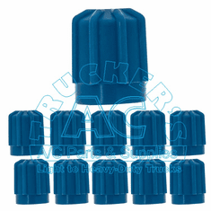 Service Port Caps