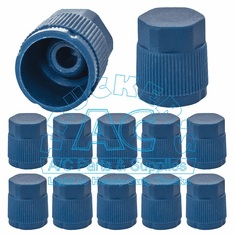 Service Port Caps