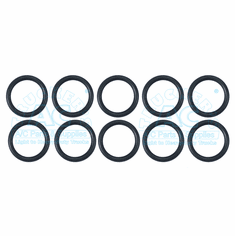 Volvo WV Disch O'rings/Box 10