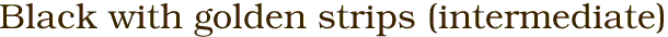 Black with golden strips (intermediate)