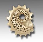 Carved-Seashell<BR>(advanced)